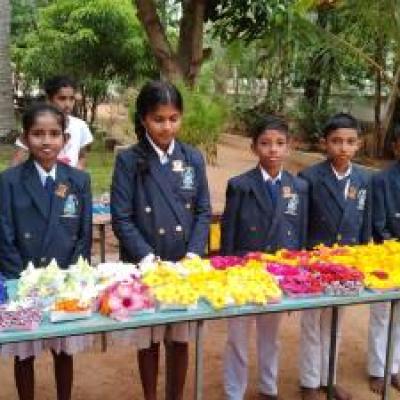 මල් දන්සල 2023